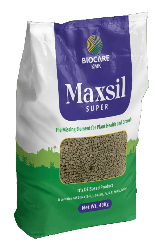 Maxsil super